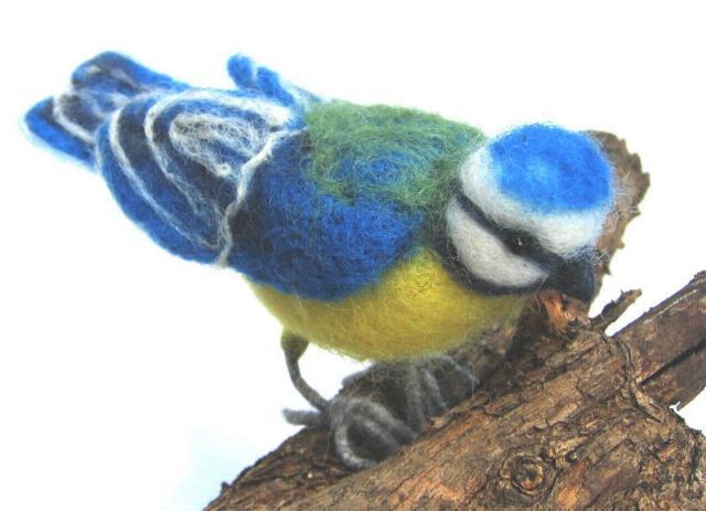 Blaumeise
