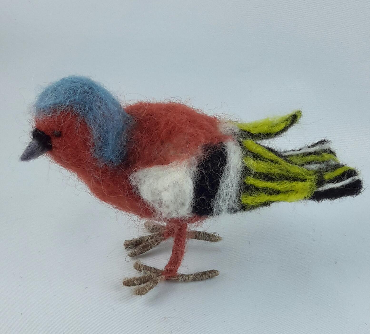 Buchfink