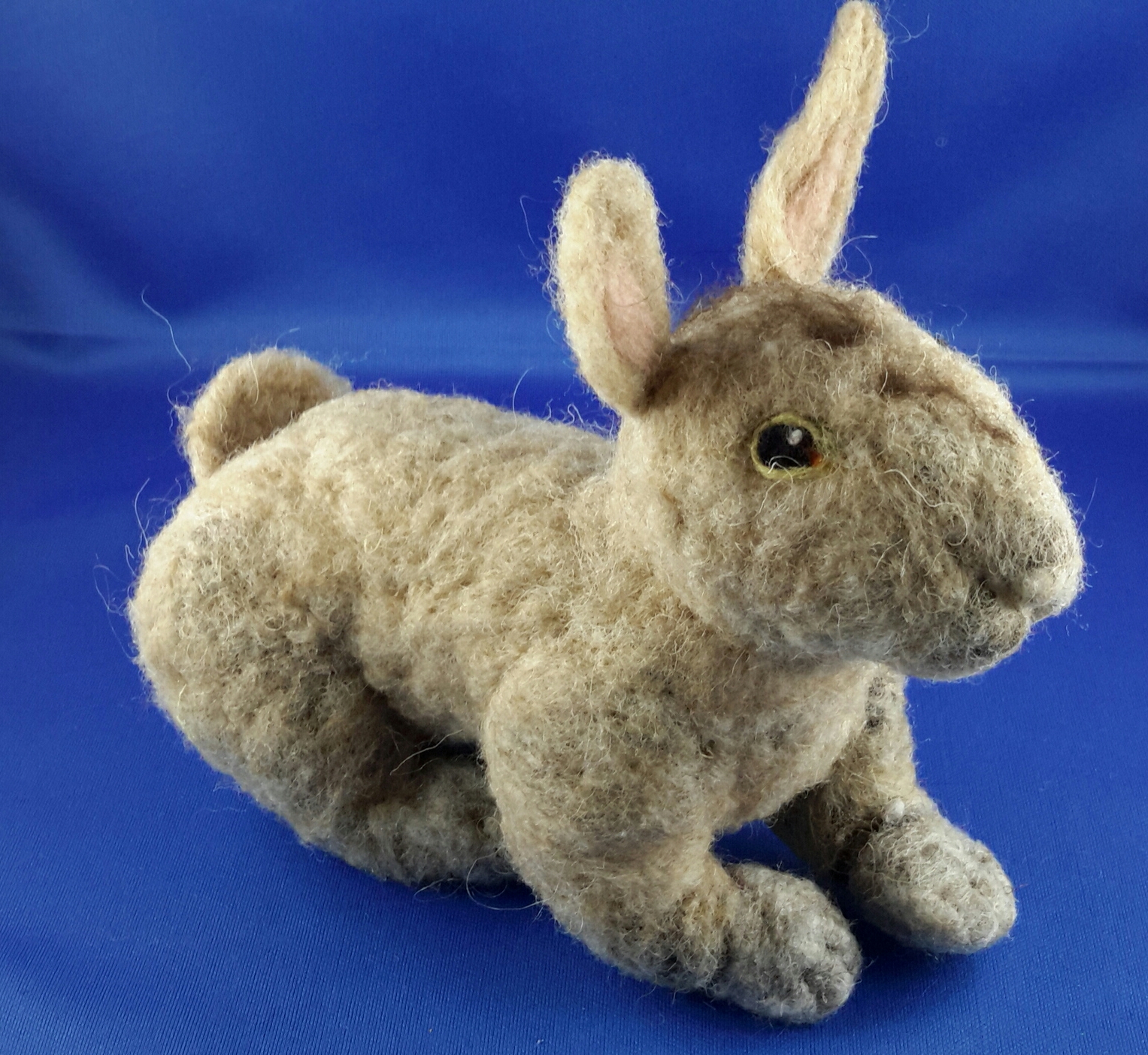 Hase gro