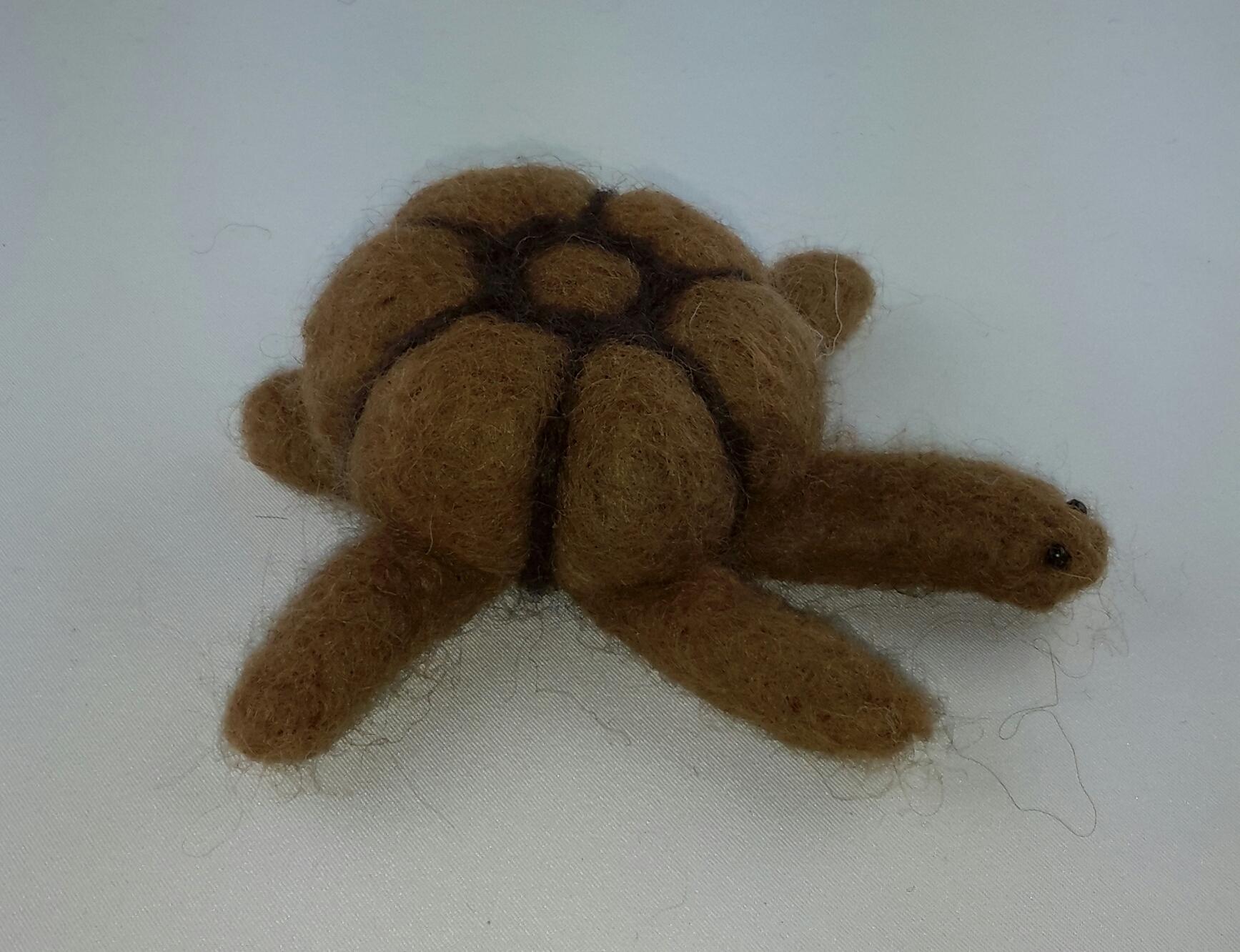 Schildkrte